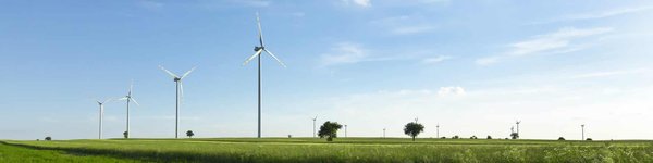 5 alternatives créatives et durables à l'emballage plastique : découvrez comment protéger l'environnement de manière ludique !